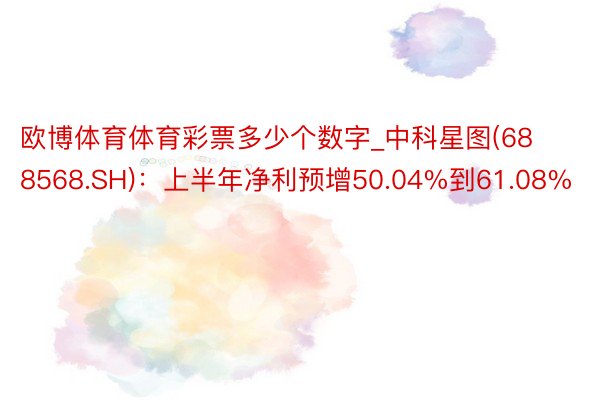 欧博体育体育彩票多少个数字_中科星图(688568.SH)：上半年净利预增50.04%到61.08%