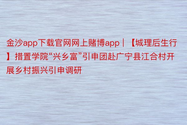 金沙app下载官网网上赌博app | 【城理后生行】措置学院“兴乡富”引申团赴广宁县江合村开展乡村振兴引申调研