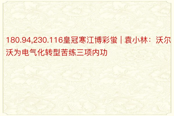 180.94,230.116皇冠寒江博彩蛍 | 袁小林：沃尔沃为电气化转型苦练三项内功