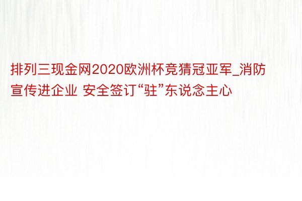 排列三现金网2020欧洲杯竞猜冠亚军_消防宣传进企业 安全签订“驻”东说念主心