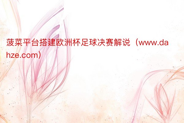 菠菜平台搭建欧洲杯足球决赛解说（www.dahze.com）