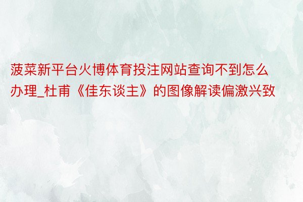 菠菜新平台火博体育投注网站查询不到怎么办理_杜甫《佳东谈主》的图像解读偏激兴致