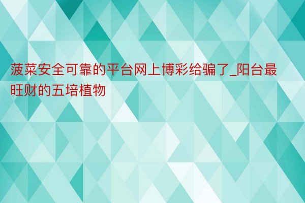 菠菜安全可靠的平台网上博彩给骗了_阳台最旺财的五培植物